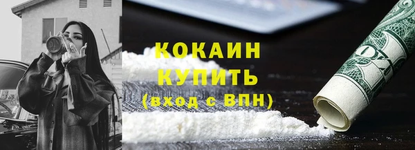 сатива Кинешма