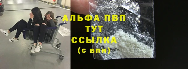 сатива Кинешма