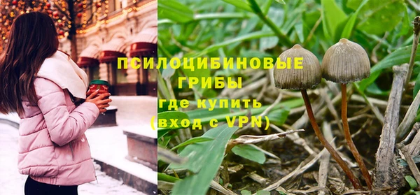 сатива Кинешма