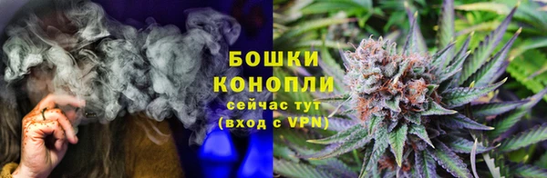 сатива Кинешма