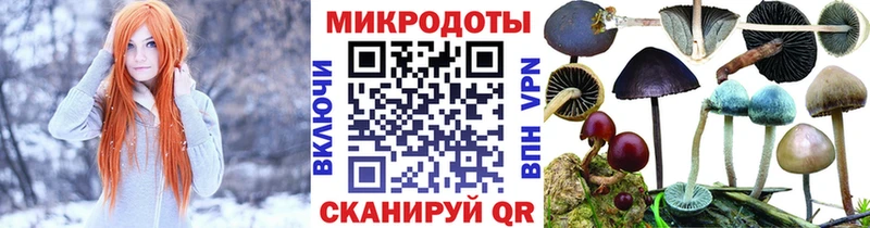 блэк спрут как зайти  что такое наркотик  Кашира  Псилоцибиновые грибы ЛСД 
