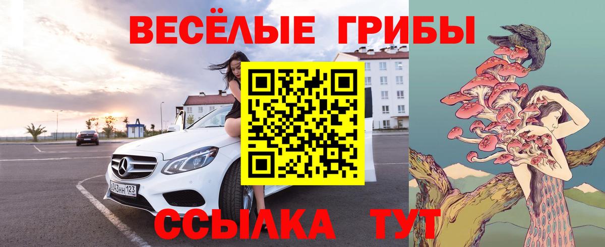 Кашира  Псилоцибиновые грибы Psilocybe  Вход с VPN 